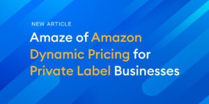 Amaze of Dynamic Pricing for Your Private Label Business on Amazon