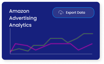 Amazon Advertising Analytics