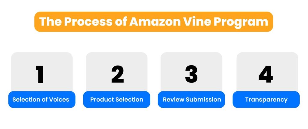 Here Is An Image For Process Of Amazon Vine Program Çalışma Yüzeyi 1