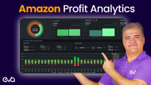 Amazon Profit analytics