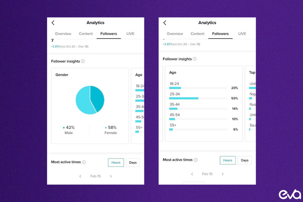 Here's a graphical representation of TikTok's user demographics, highlighting key statistics such as age distribution, geographical reach, and engagement levels.