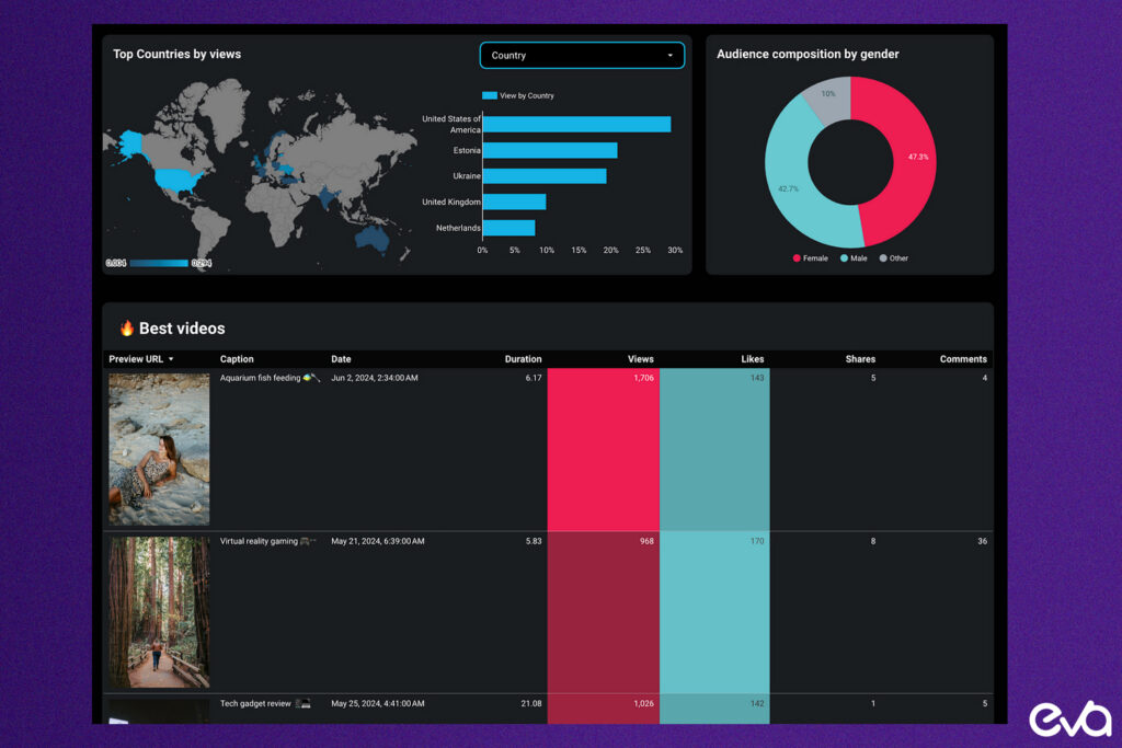 A screenshot of TikTok's analytics dashboard, showcasing detailed metrics like views, engagement rates, and conversion tracking to help businesses optimize their campaigns.