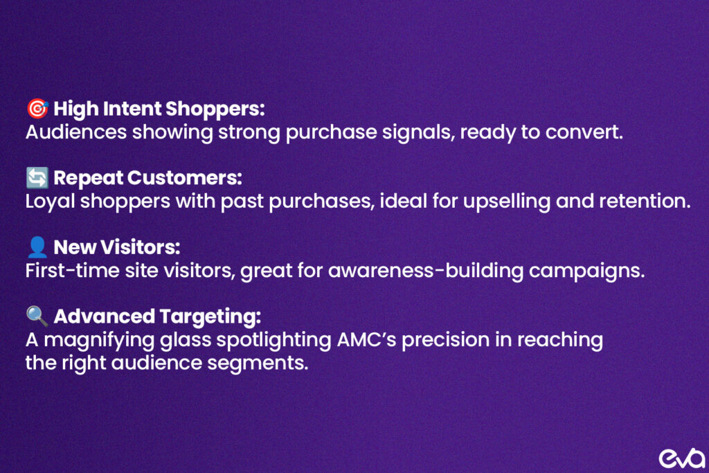 Visual representation of audience segmentation capabilities in AMC.