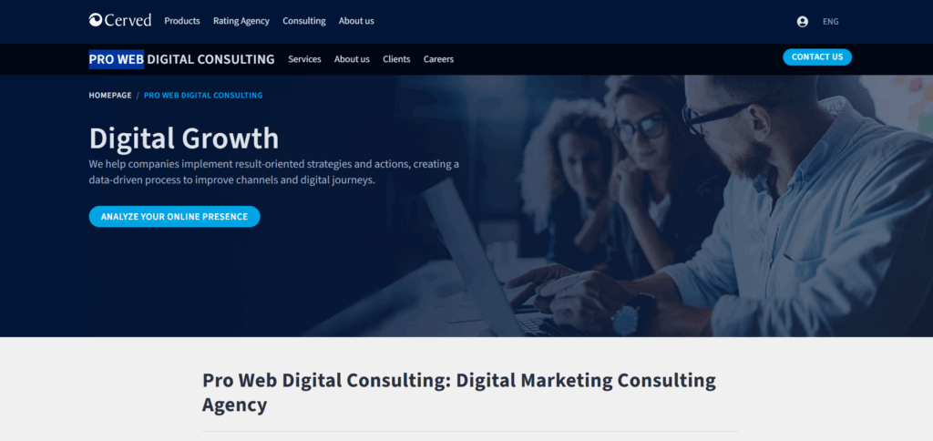 Pro Web Digital Consulting