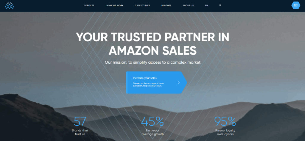 Promerit Amazon Agency