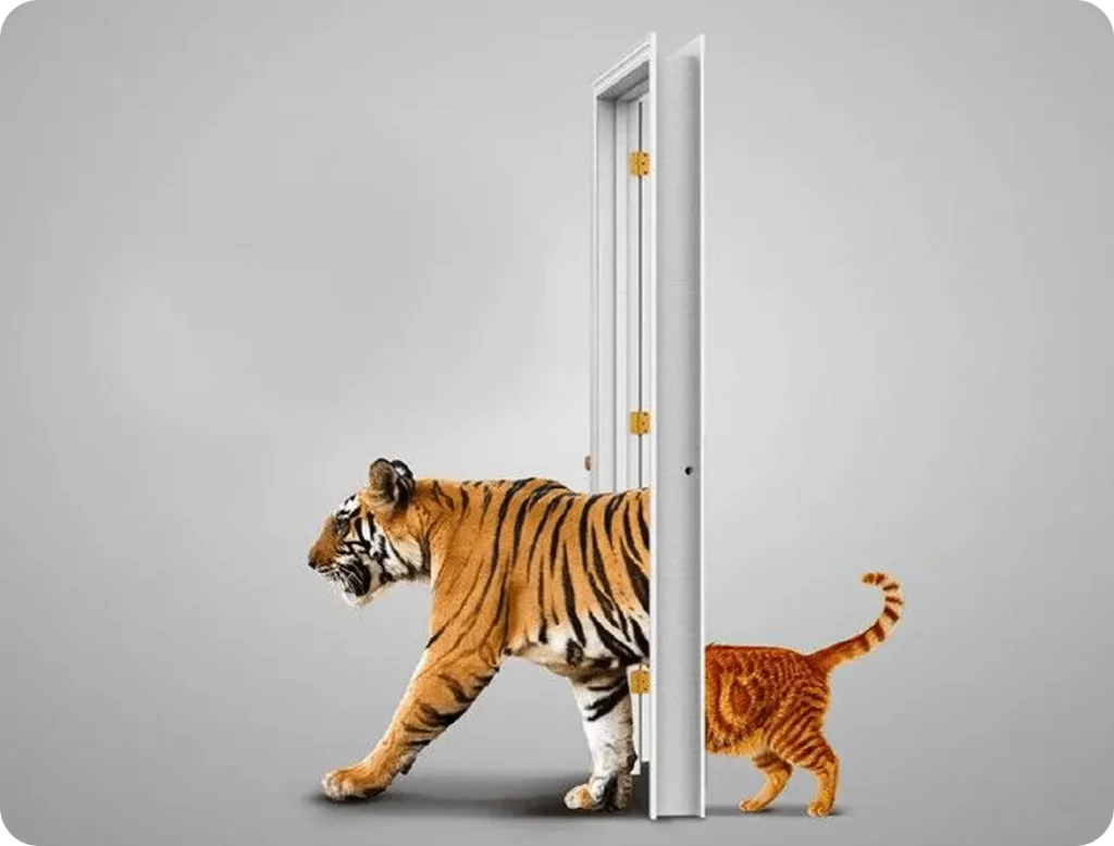 6eae65ceea073865c1d9e97c5624a63a 1