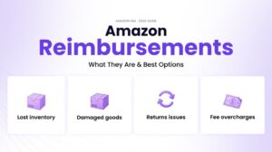 Amazon reimbursement services overview showing lost inventory, damaged goods, return issues, and fee overcharges categories