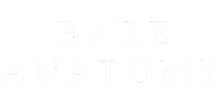 Bare Anatomy logo
